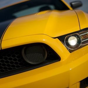 Meet your Posher, Casey